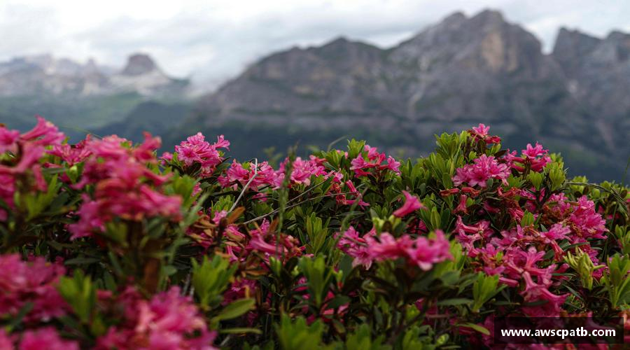 引领潮流，激发激情！